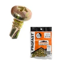 [1003427] สกรูยึดแปสำเร็จรูป 10X13 PAN PROFAST