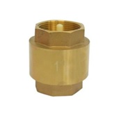 [1000108] สปริงเช็ควาล์ว รูเต็ม 1" SANWA