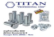 [1008369] น็อตหัวเหลี่ยม+หัว 3/4"x3" ชุบขาว TITAN (PK3)